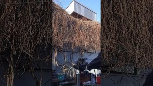 Промываю систему охлаждения ЛОДОЧНОГО МОТОРА YAMAHA 8 B часть 1.