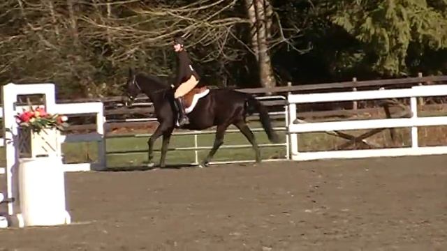 Kelsey and Java Galway Farm 1ft Round 2 смотреть онлайн