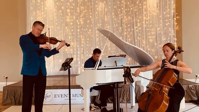 Can't Help Falling in Love - Violin, Cello & Piano (Trio Vivo) смотреть онлайн