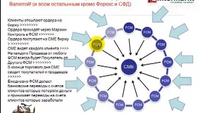 Олени крупные и маленькие смотреть онлайн