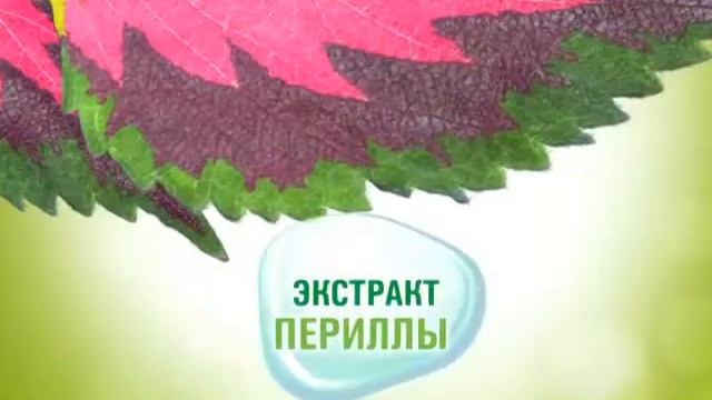 Природная энциклопедия Amway Home перилла смотреть онлайн