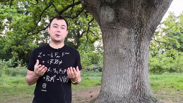 Откуда масса у дерева? смотреть онлайн