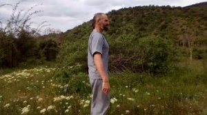 Вибрационная гимнастика "Здрава"