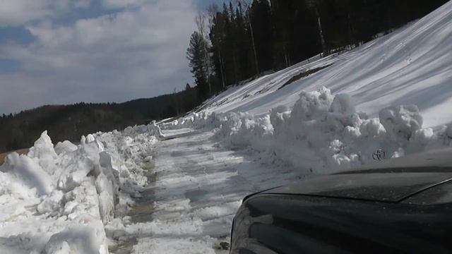 Весной дорога в лес.04.22. смотреть онлайн