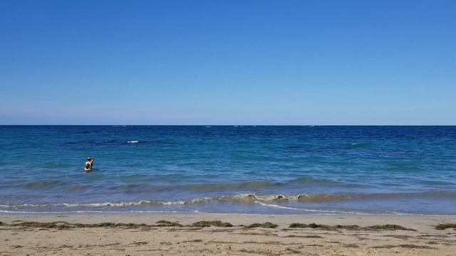 Beach life in Puerto Plata DR!! смотреть онлайн