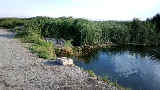Slo-Mo-Tion :: Tandzut смотреть онлайн