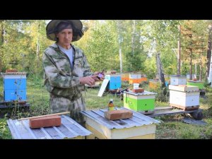 Больная пасека часть-2