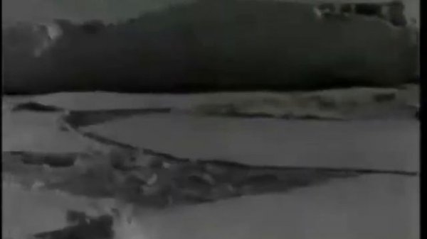 Антарктида, 7 класс