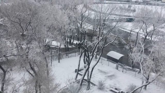 VLOG: САМАЯ СКУЧНАЯ НЕДЕЛЯ. СНЕГ НА 1 АПРЕЛЯ смотреть онлайн