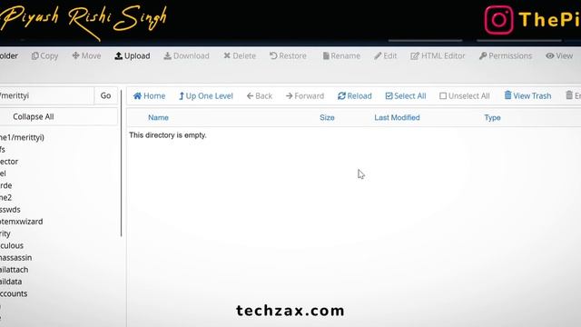Wordpress Plugin Crashed | Recover Crashed Wordpress Website ? смотреть онлайн