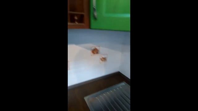 Кухни Гармония смотреть онлайн