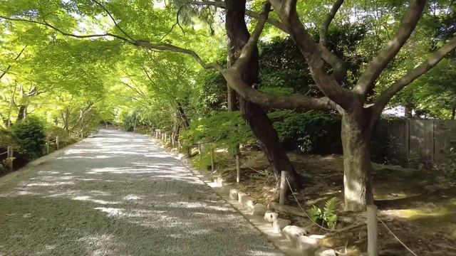 Проект 47 префектур. Часть одиннадцатая. Префектура Киото. Город Киото, Арасияма, Кинкакудзи.