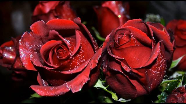 beautiful sweet song guitar chords смотреть онлайн