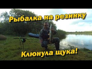 Рыбалка на резинку Клюнула щука!
