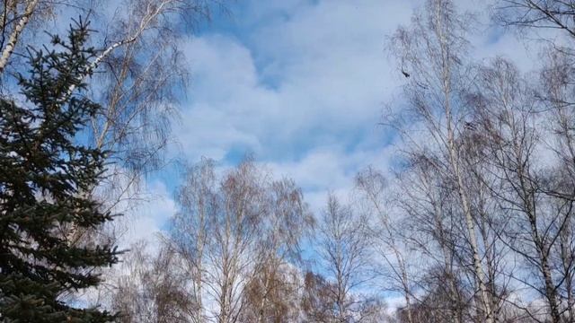 #вместе гуляем по Сосновке. Малый город Кировской области смотреть онлайн