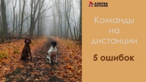Почему собака не ложится на расстоянии? Работа на дистанции - 5 ошибок