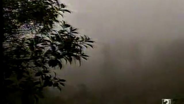 HONGOS SAGRADOS смотреть онлайн