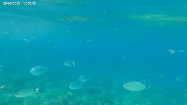 Рассуждения на прекрасном фоне средиземного моря смотреть онлайн