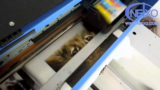 A3 DTG printer printing image on White T Shirt tutorials смотреть онлайн