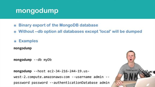 MongoDB Utilities: 06 mongodump смотреть онлайн