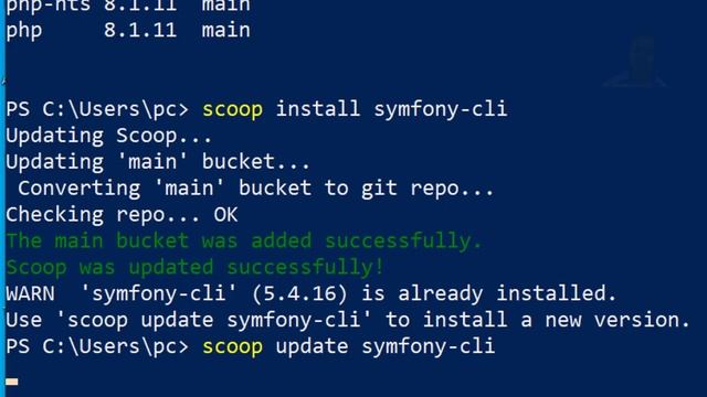 SCOOP ERROR FIXED 2022 смотреть онлайн