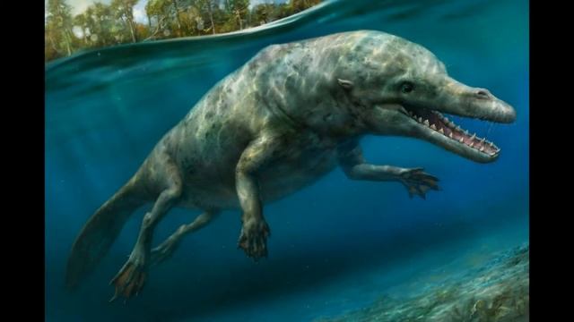 Базилозавр  Необычный обзор