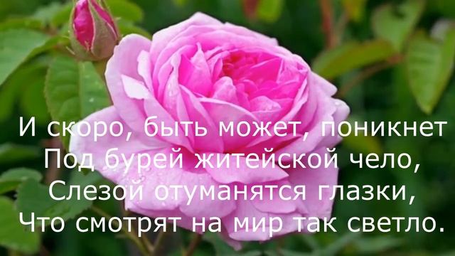 Алексей Плещеев - Смотрю на нее и любуюсь смотреть онлайн