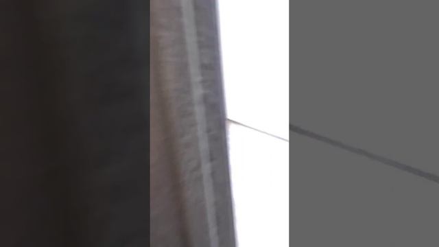 Студия ЖК "ID Murino" смотреть онлайн