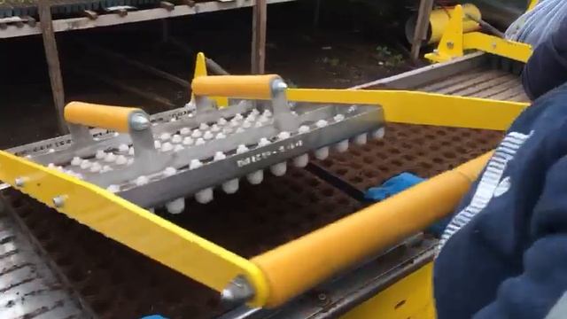 Посев капусты в кассеты (Стол посевной СП-1 с Маркером МКР-144 и Сеялкой СКР-144N) смотреть онлайн