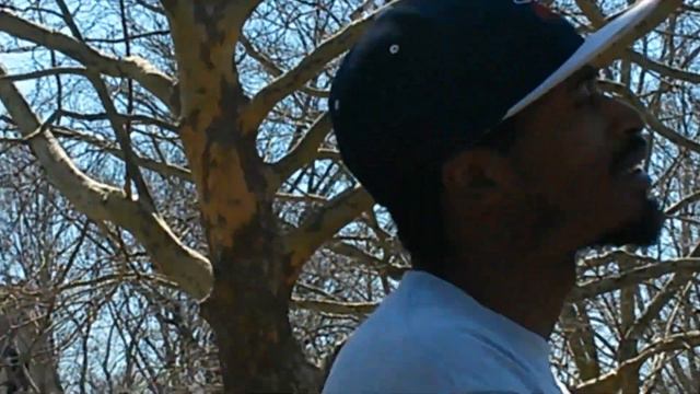 Nigger Nigga In The Park