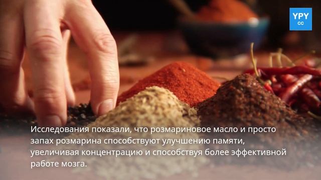 Розмарин - чудо-растение для улучшения памяти и концентрации! ?? смотреть онлайн