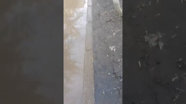 Челябинск  Теплотех  Пр  Победы 153, ева макарова, вк