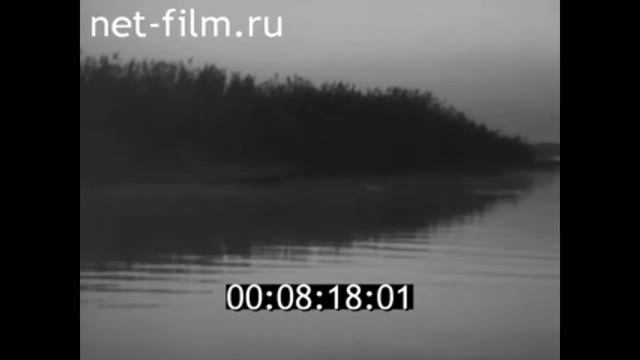1965г. Волгоград. карповское водохранилище смотреть онлайн