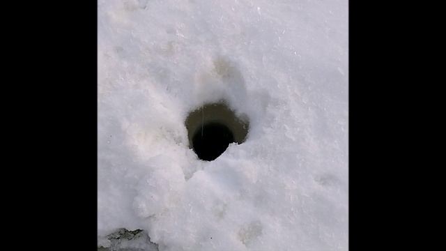 Мужик 760. Первые впечатления! смотреть онлайн