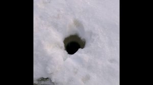 Мужик 760. Первые впечатления!