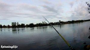 НОВАЯ Безынерционная Катушка KastKing Centron. Доступная рыбалка с Али Экспресс!!