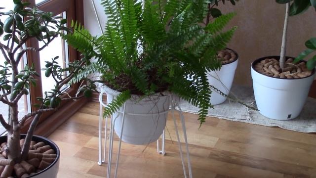 Замечательная подставка под цветы! Здорово придумано! В гостях у Лилии. смотреть онлайн