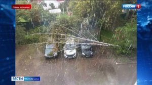 В Смоленске и области продолжают устранять последствия урагана