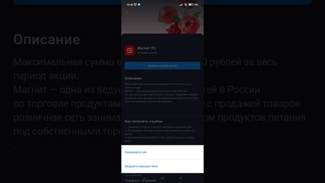 Приложение Кошелёк Кешбэк Как сканировать чек Магнит #shorts смотреть онлайн