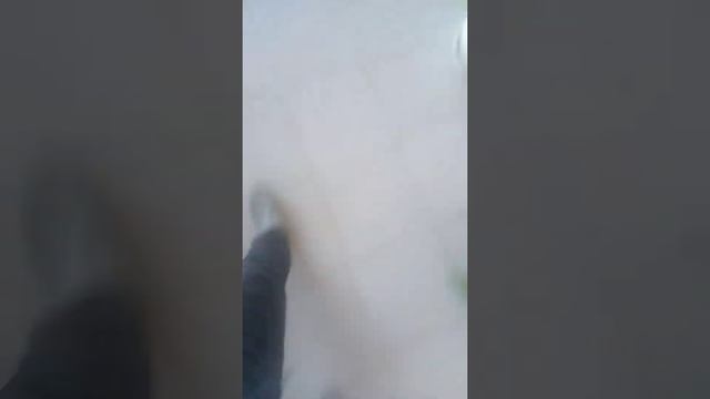 Академия самбо смотреть онлайн