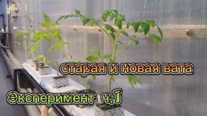 Гидропонная установка