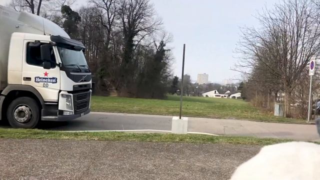 Когда переезд из Швейцарии? За что приходится платить в Швейцарии? смотреть онлайн