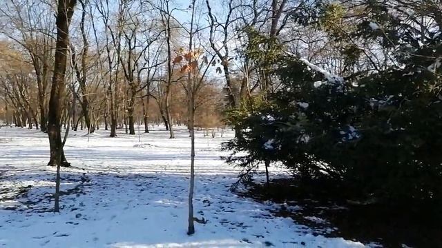 Нальчик. Прогулка по городу зимой. Часть 2. Парк и центр. Nalchik city trip смотреть онлайн