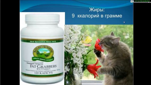 Меню на праздник смотреть онлайн