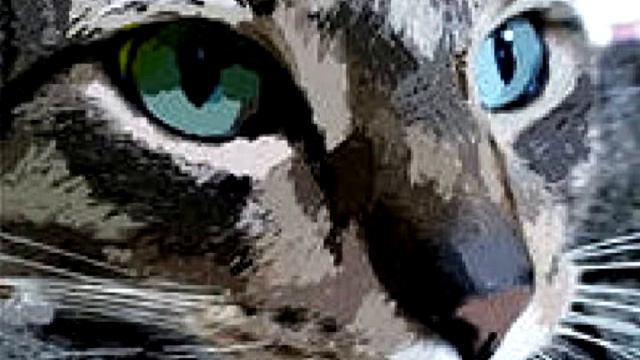 подкаст №1, и многое другое смотреть онлайн