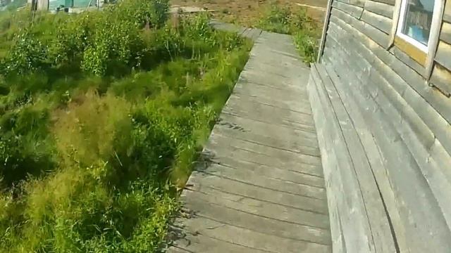 Баллада о рыбалке. Озеро Тенис, Новосибирская область. смотреть онлайн
