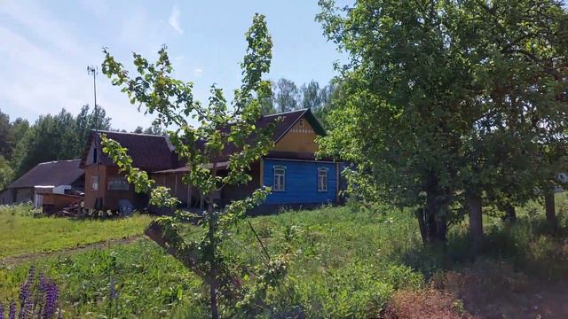 ОБЗОР ДЕРЕВНИ ЛЕТОМ смотреть онлайн