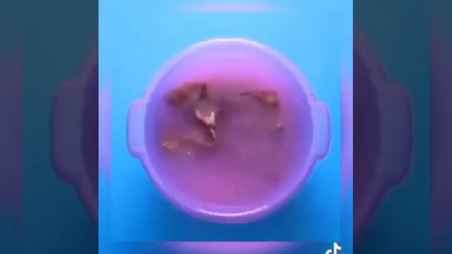 Бояу жұққан киімді ағарту. Как отбелить одежду простым способом? смотреть онлайн