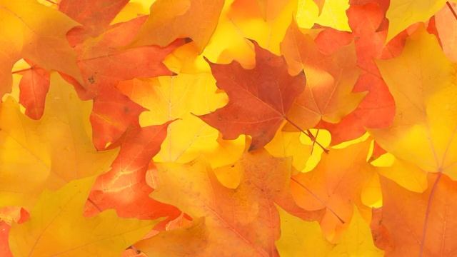 Francisco Canaro. Hotel Victoria. 1935