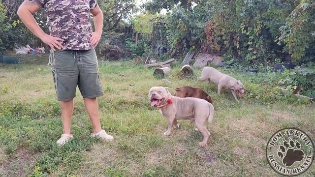 Чудесная компания 🥰 смотреть онлайн